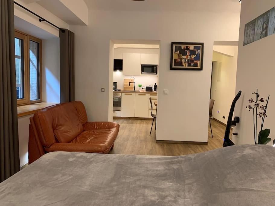 Art Apartment City Center Lj ลูบลิยานา ภายนอก รูปภาพ